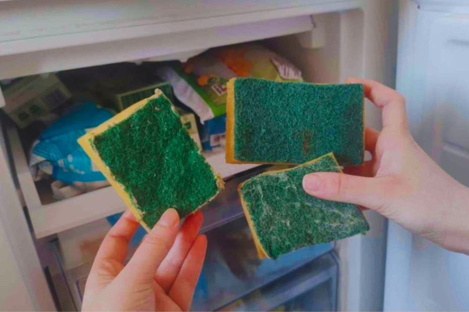 Descubra o Segredo das Esponjas de Prato no Freezer: Uma Revelação Surpreendente para o Seu Bem-Estar